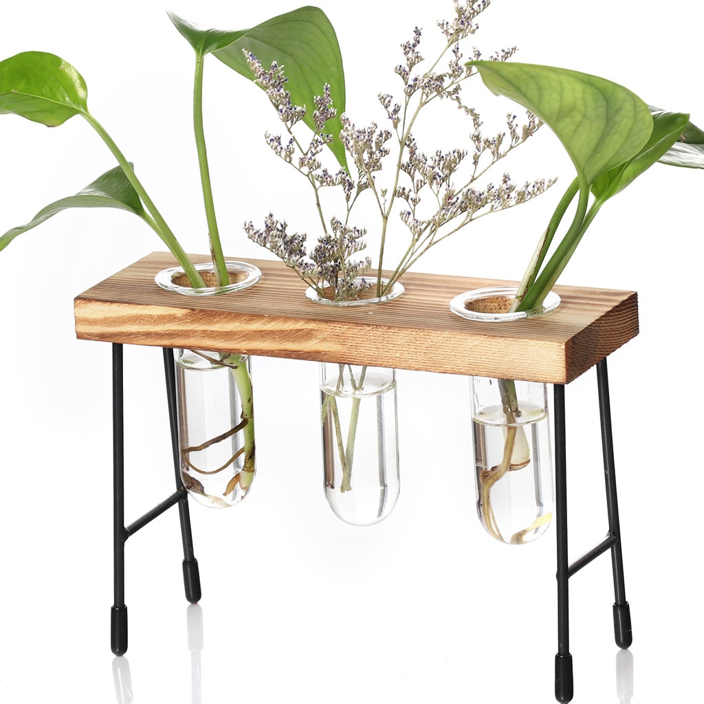 Table Desk Bulb Glass Hydroponic Vase Flower Plant Pot Wooden Tray