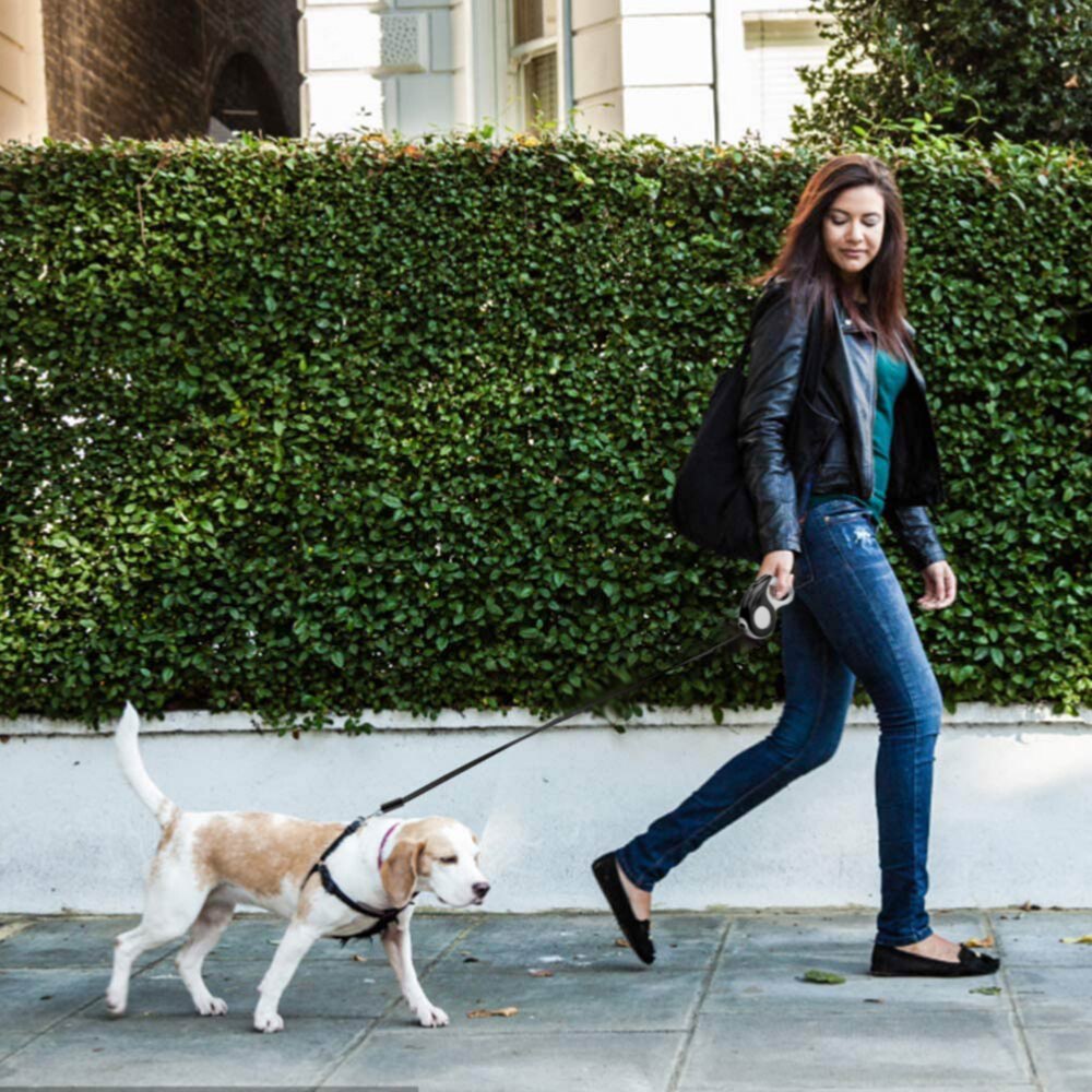 Reflective Retractable Dog Leash For Small Medium Dog No Tangle Nylon Ribbon Retractable Dog Leash for Puppy Dog Supplies