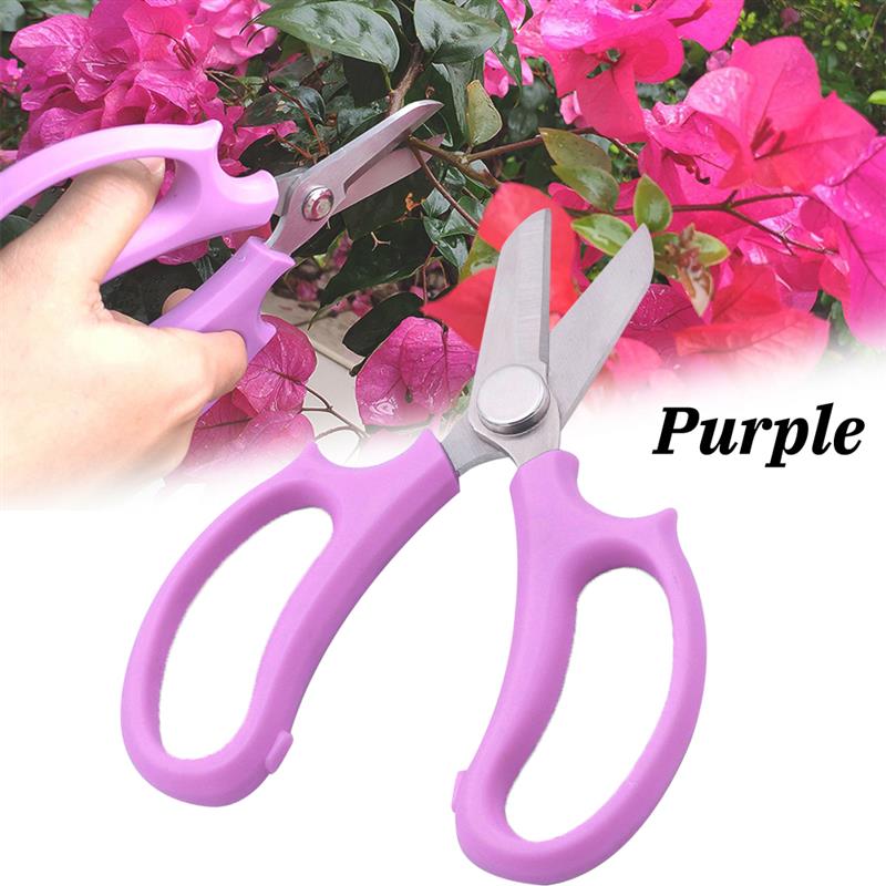Garden Flower tools Tree Pruning Stainless Steel Tools for Fruit Trees, Flowers and Branches Home Pruning Shears Garden Scissors: Purple