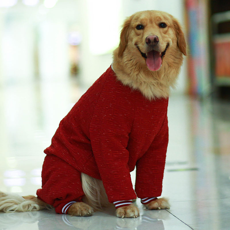 Lemmikkikoiran vaatteet talvi iso iso koira asu haalari pyjamat corgi kultainennoutaja husky labradorinkoiran haalarit lemmikin puku takki