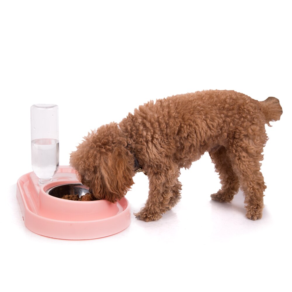Comedero de agua automático para gatos y perros, cuenco doble Universal no húmedo, Para evitar salpicaduras de comida, cuenco para mascotas,
