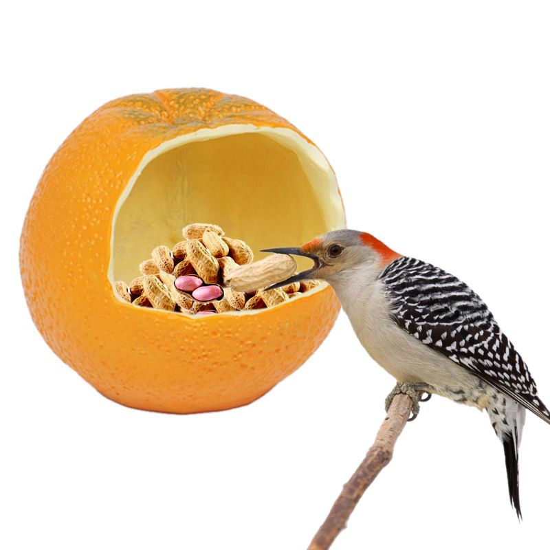 Grappige fruitvormige vogel papegaaienvoederkooi voer water voerbak container