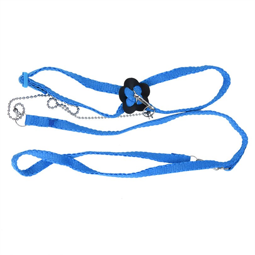 Correa ajustable para pájaros, arnés para exteriores, cuerda de entrenamiento, banda antimordida para entrenamiento de aves y accesorios para palomas