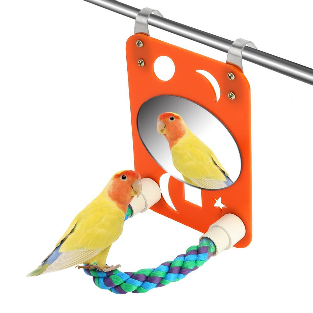 SALES Bird Mirror Swing Parrot Cage Toy with Rope Perch for Parakeet Cockatoo Cockatiel Conure Lovebirds Finch Cana