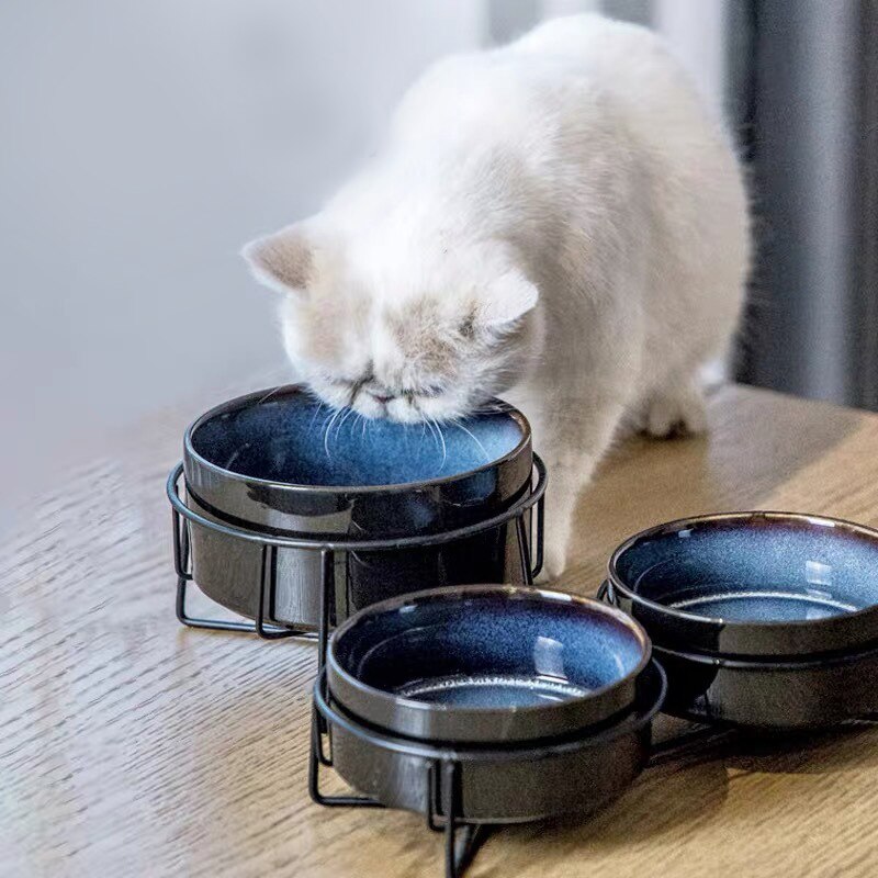 Bol pour animaux de compagnie en céramique chat chiot alimentation fournitures Double bols pour animaux de compagnie chien nourriture distributeur d'eau accessoires pour chiens Durable plusieurs couleurs