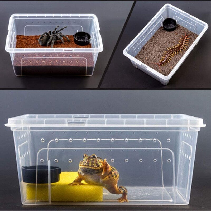 Breeding Box 8Pcs Worm Dish Reptile Feeding Box Food Container Small Size Transparent