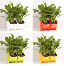 2 Pcs Stackable Hanging Flower Pot Mini Stacking Garden Vertical Plant For Veg Herb Fruit Indoor Outdoor All Season Home Decorp