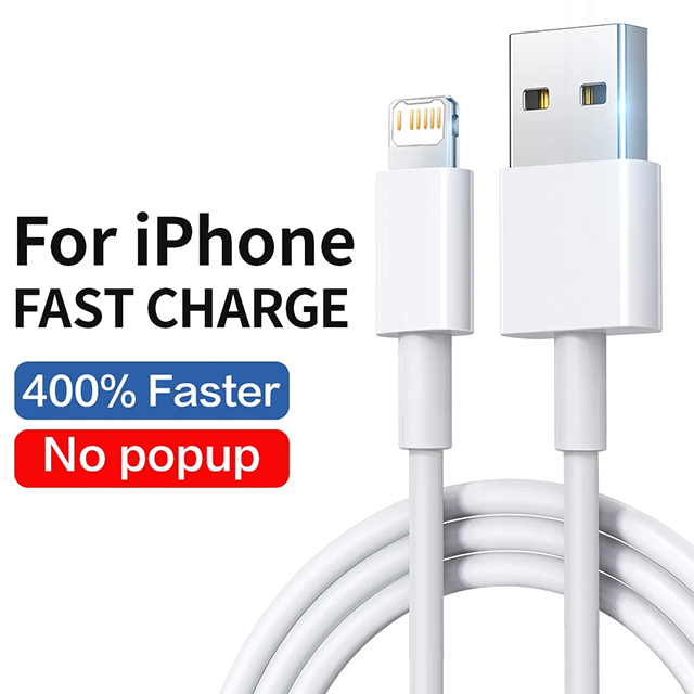 Fast Charging For iPhone Usb Cable 14 13 12 11 Pro Max Mini XR XS X SE 8 7 6 Plus 6s 5 5s Wire For iPad Charger Cord Accessories: 1m
