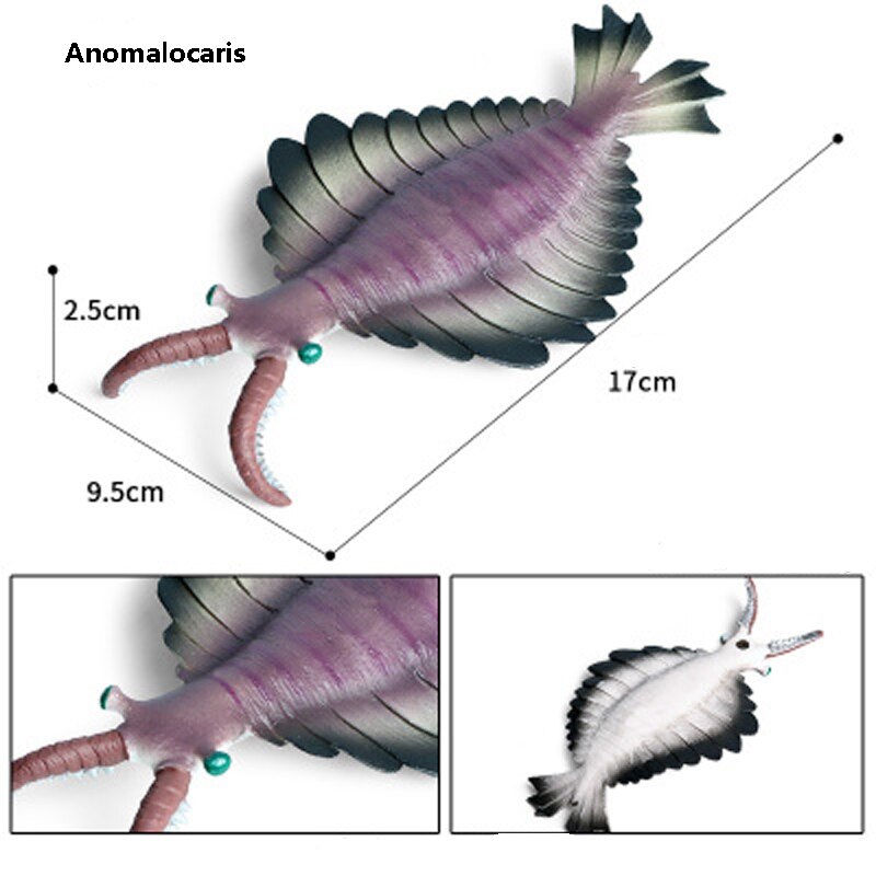 Grande vendita singola giocattoli educativi modello marino antitorico dinosauro marino pesce di Deng plesiosauro modello animale giocattoli: 15