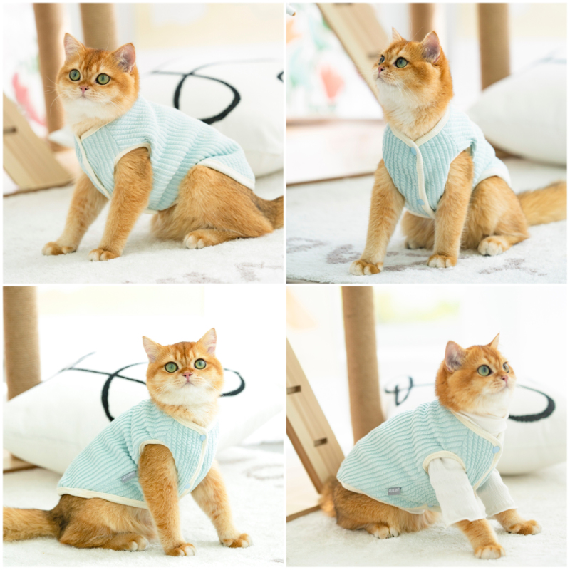 Kat Kleding Haarloze Kat Kleding Winter Verdikking Warme Sphynx Kat Kleren Thuis Comfortabele Winter Kleding