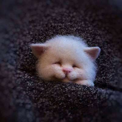 Diy Dieren Broche Vos Hond Kat Wol Naaldvilten Materiaal Pakket Wolvilt Craft Poke Set Handwerk: 14