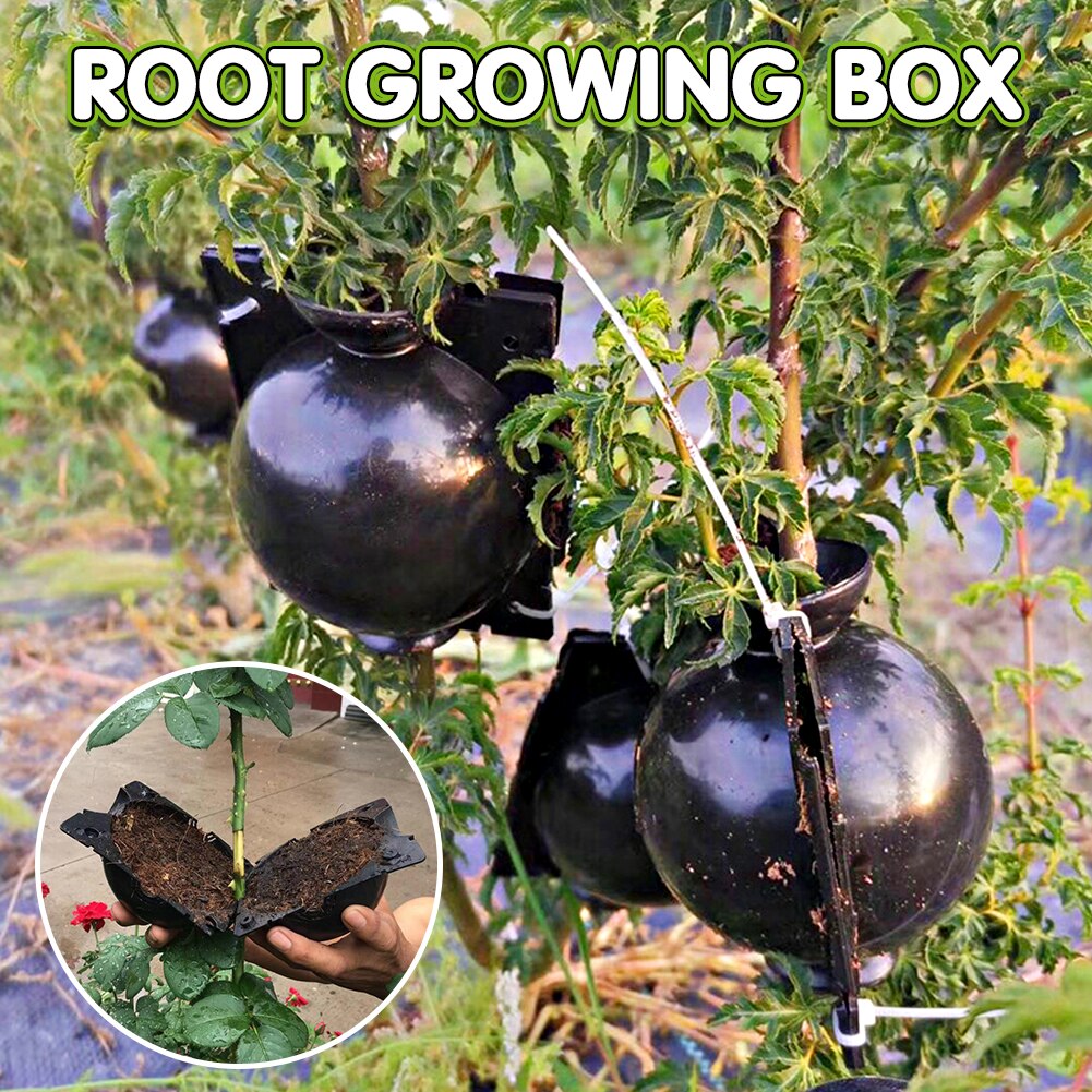 5Pcs Root Growing Box Breeding 5/8cm Case Plant Root Box Garden Pressure Propagator For Garden In Diameter Grafting Rooting