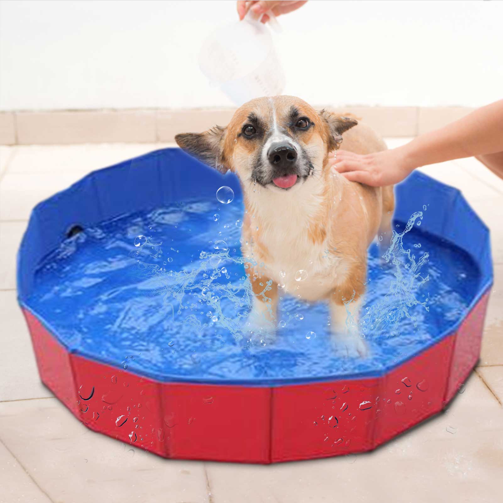 Dog Pool Foldable Dog Swimming Pool Pet Bath Swimming Tub Bathtub Pet Swimming Pool Collapsible Bathing Pool For Dogs & Cats