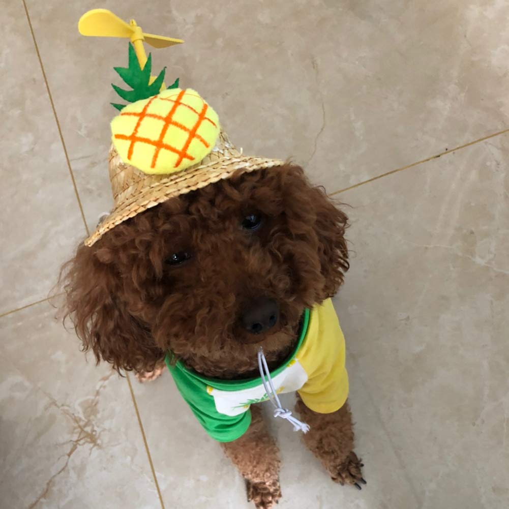 Adjustable Pet Sombrero Dog Cat Straw Hat Cute Mini Puppy Sun Bucket Cap for Small Puppy Kitten Supplies: pineapple hat / XS