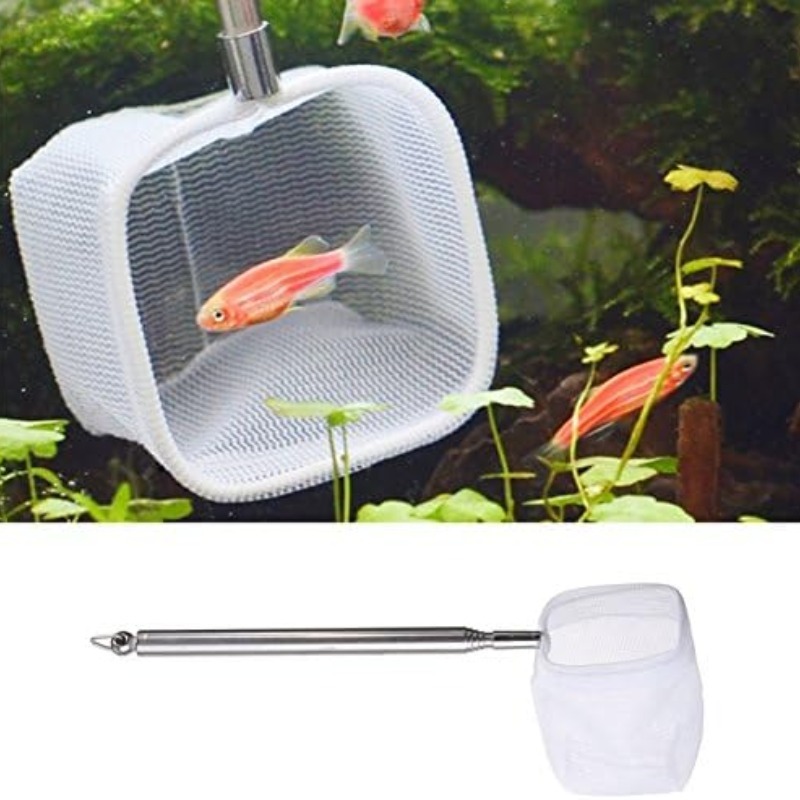 Fishing Landing Net Extendable Telescopic Fish Shrimp Skimming Net Stainless Steel Handle Fish Net for Aquarium Fish Tank