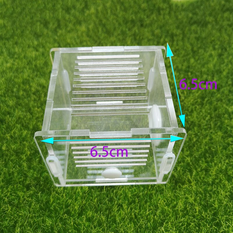 Acrylic Ant Nest Square Ant Farm Activity Area Climbing Pet Breeding Ornamental Box Ant Colony Breeding Box Diameter 18mm