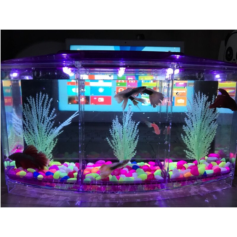 Pecera acrílica de tres divisiones, pecera Betta, luz Led para acuario, Incubadora, caja de cría, pecera Guppy, pecera, casa reptil de tortuga