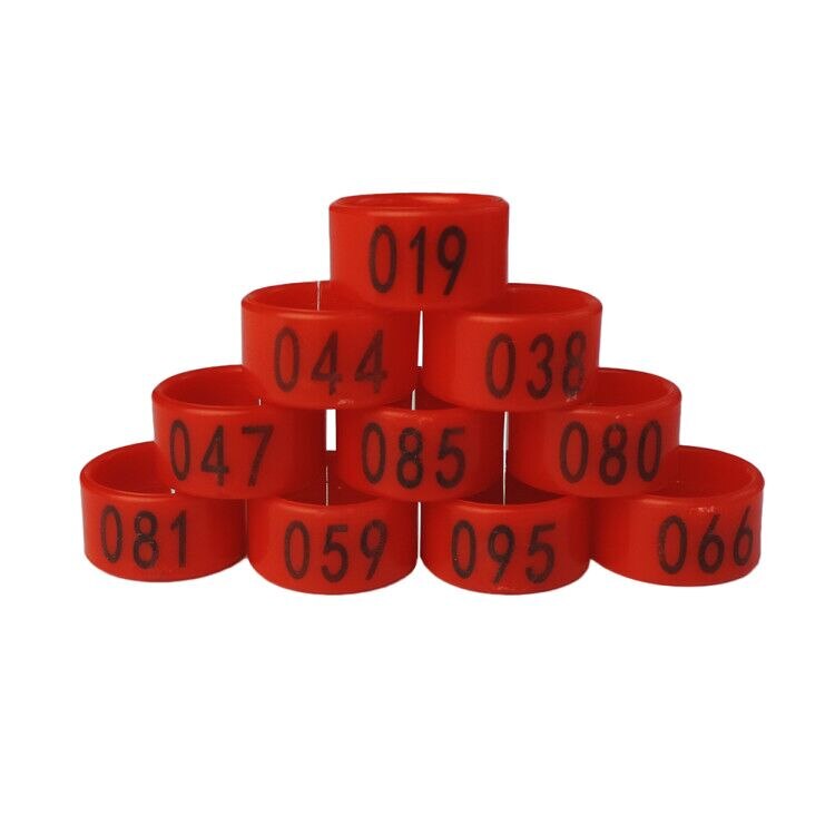 100 stk nr. .1-100 kyllingfotring hønekyllinger and gås digital fotring fjærfeoppdrettsutstyr: Rød farge / Indre diameter 1.6cm