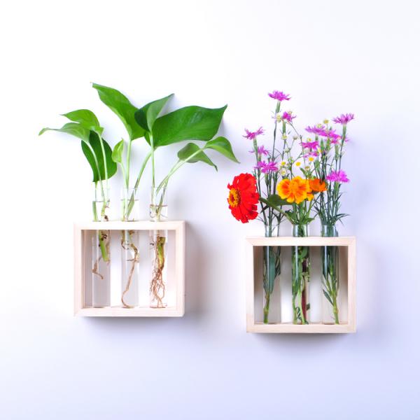 Glas reagensglas vase træramme - væghængende krystal hydroponisk beholder terrarium til blomster planter potte boligindretning
