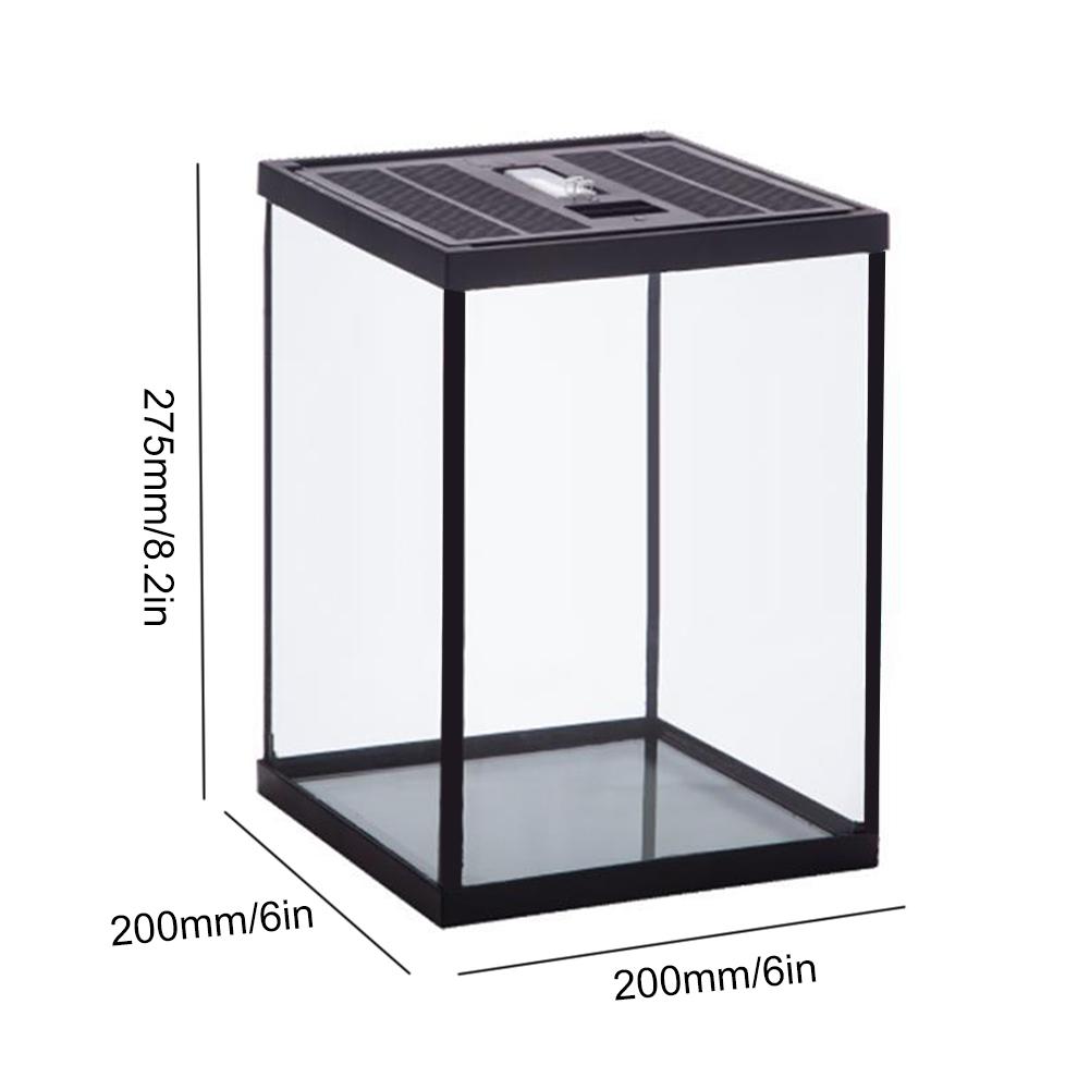 Reptile Glass Terrarium Natural Comfortable Glass Crawling Box Turtle Feeding Box Container
