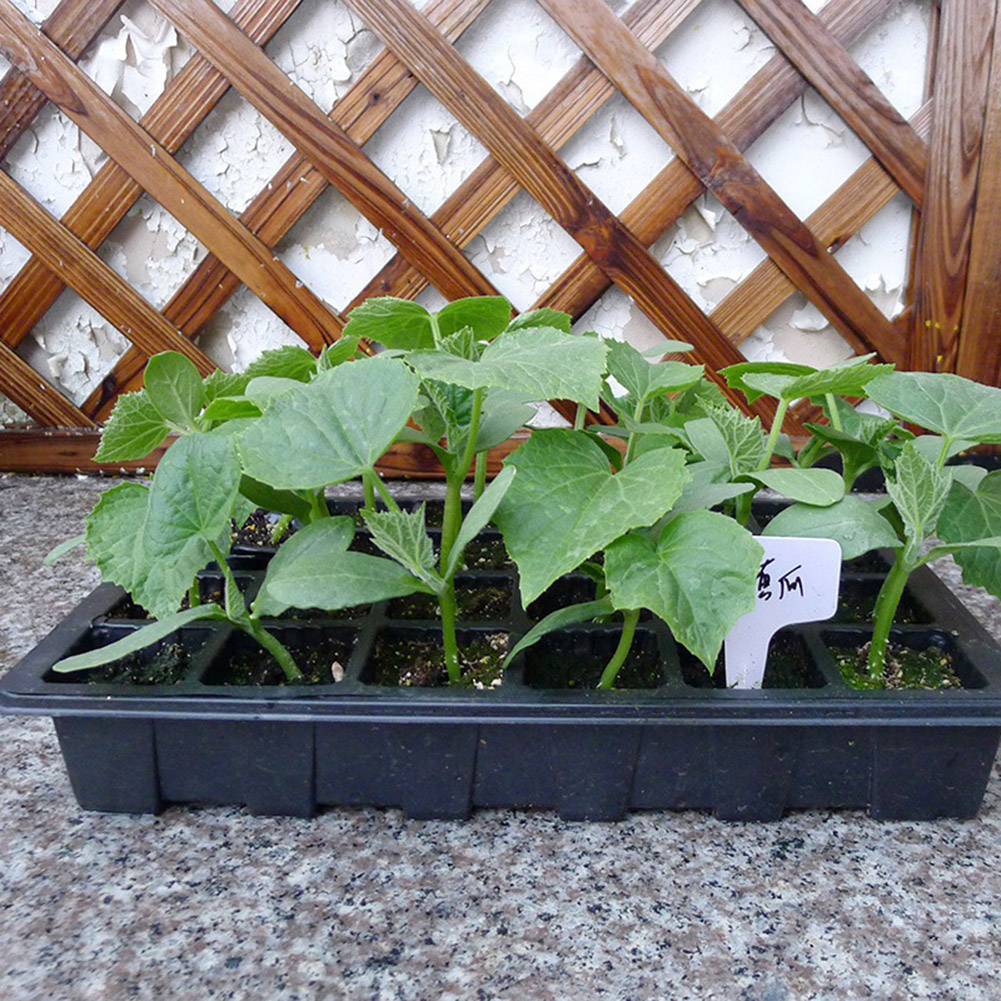 24-Hole Home Garden Balcony Nursery Seedling Tray Plant Growing Holder Plate Strengthen ventilation and reduce moisture
