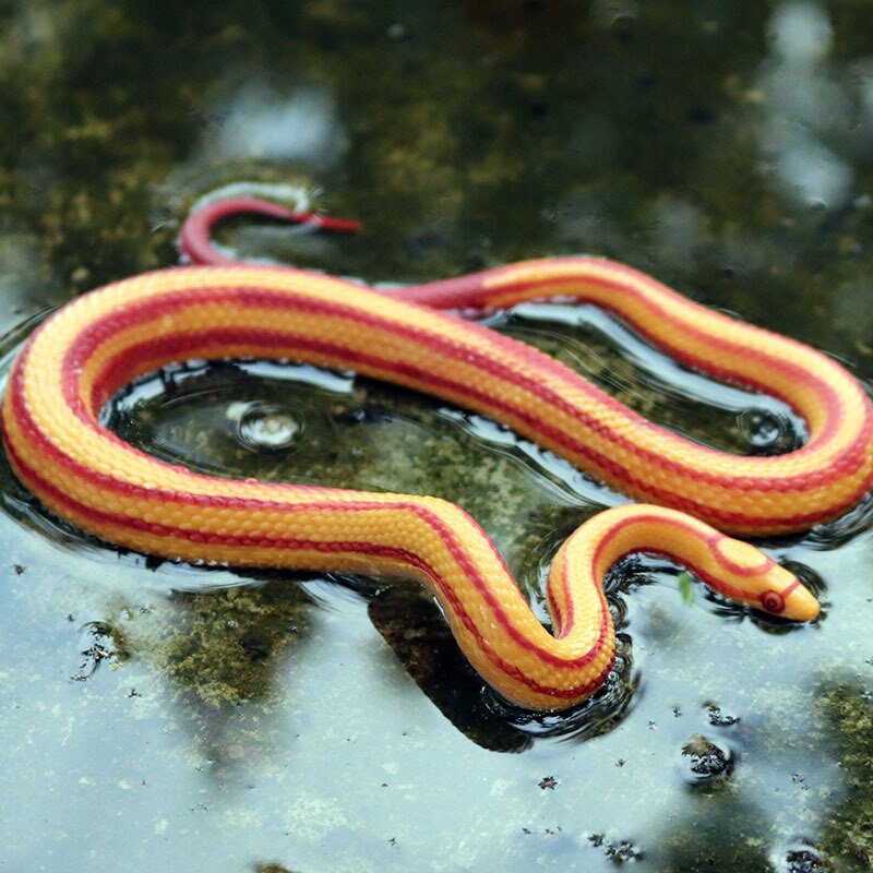 14*11*2.5cm Children simulation wild animal model toy giant python corn snake reptile python model ornaments