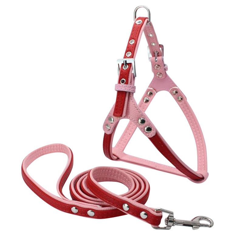 (5 stuks/partij) Hond Harnas Zachte Lederen Breakaway Kleine Medium Hond Pet Harnas Leash lead Set: Red / M