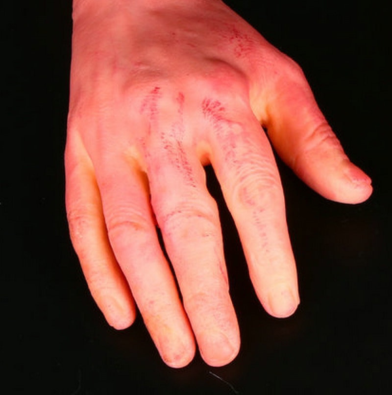 Human Arm Hand Bloody Dead Body Parts Haunted House Halloween Prop Right AR Toy