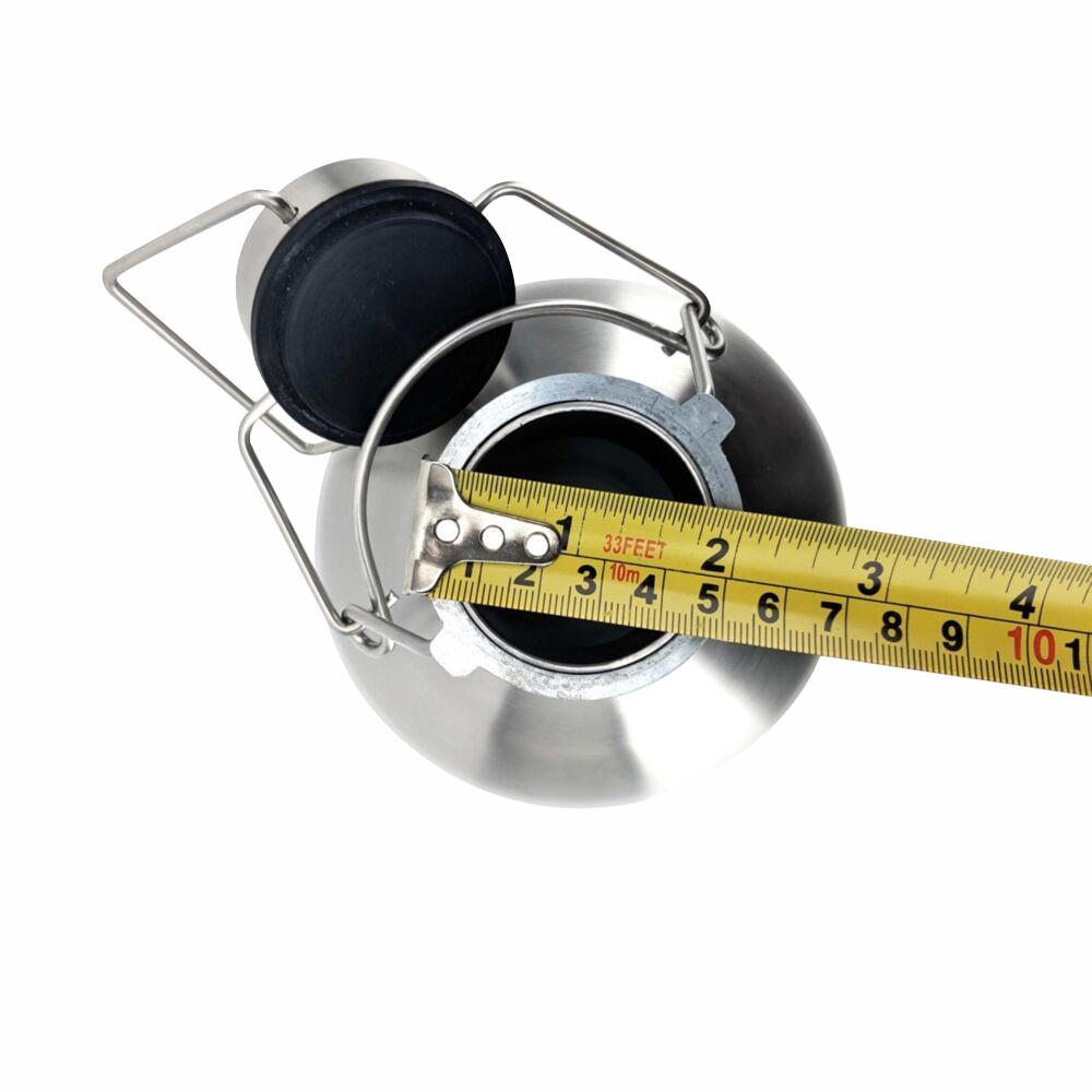 home brew 2L beer bottle ULTIMATE Vacuum Double Wall Insulated Beer Growler, 304 SS