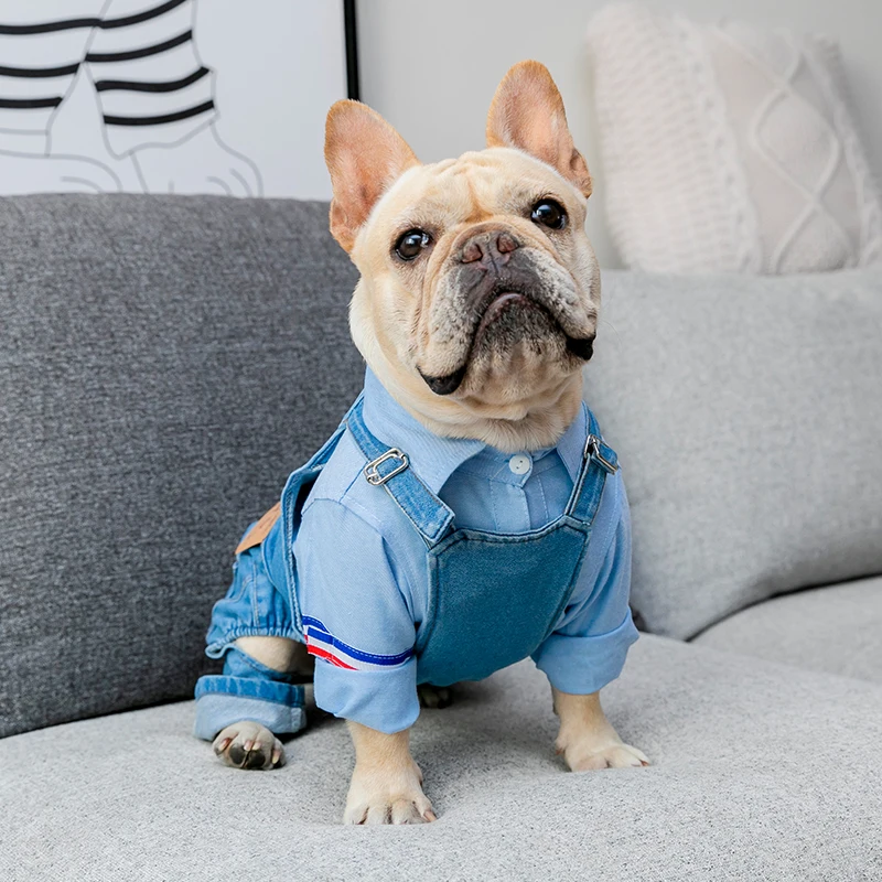 Dongeri hundekåpe høst vinter kjæledyr hunder klær fett hund klær kjæledyr klær fransk bulldog valp kostyme mopper hunder jakke
