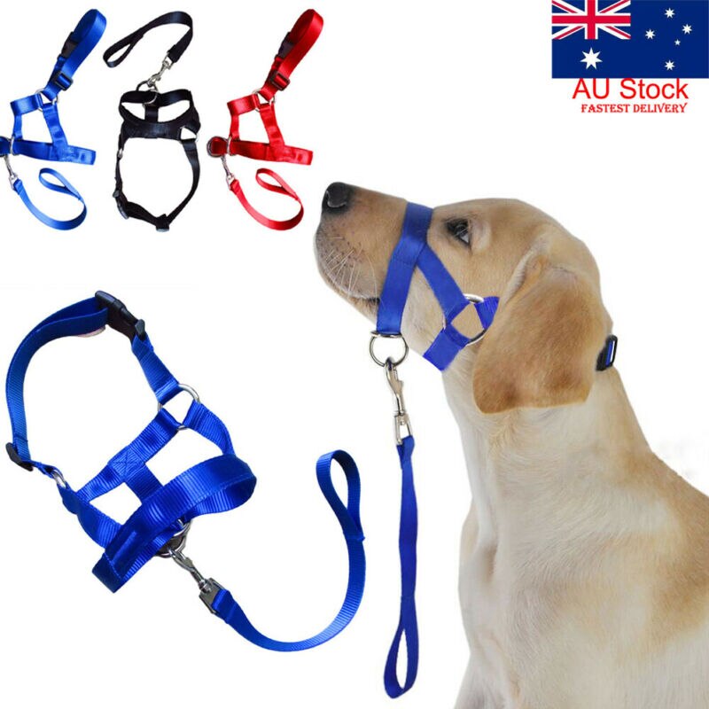 Dogalter Pet Dog Collars Halter Halti Training Head Collar Gentle Leader Harness Nylon Leads
