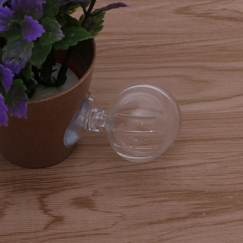 Hogar Paradies Besser 1pc Glas Topf Anlage Schnittfuge Tasse Halfter Garnelen Aquarium Aquarium Wasser Zubringer Neue