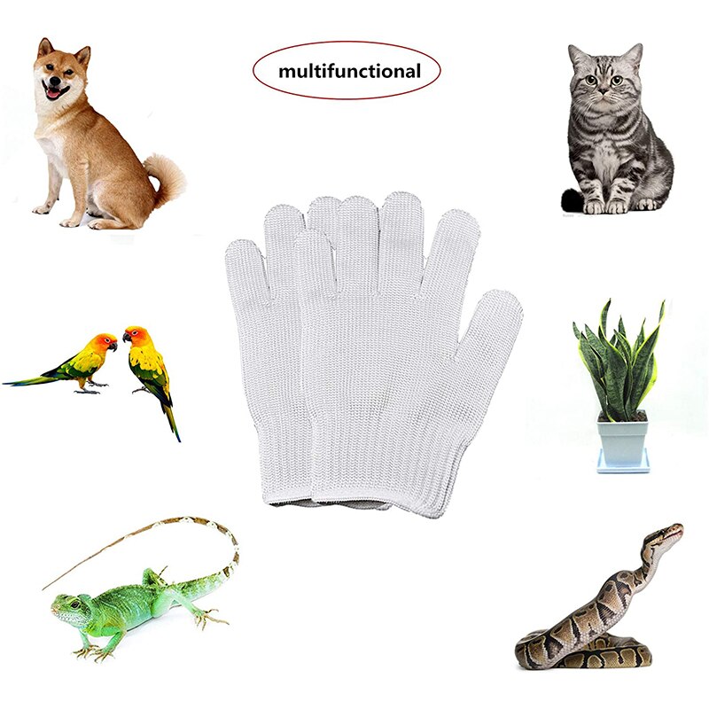 Guantes antimordeduras para entrenamiento de aves, protectores de seguridad para masticar loros, manejo de animales pequeños, para cacatúas