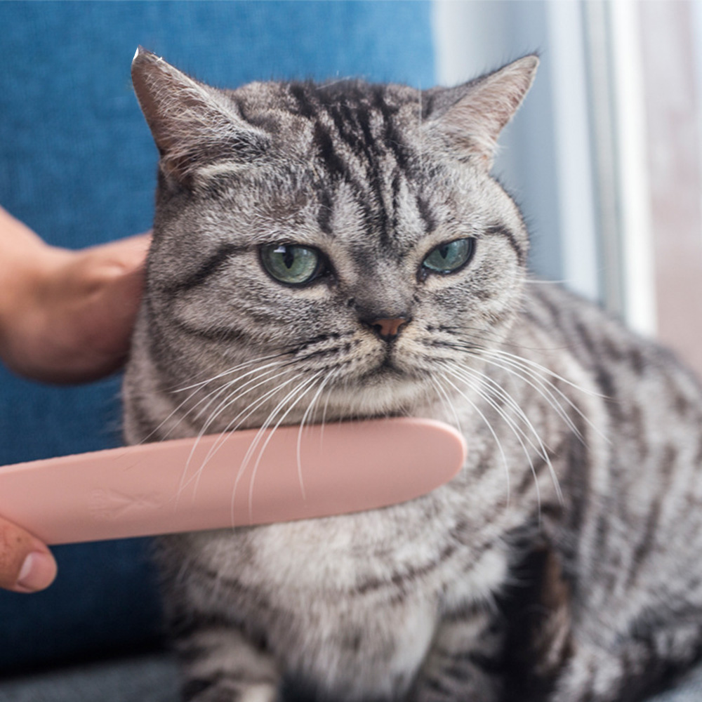 Cat Tongue Comb - Pet Grooming Brush for Hair Brushing & Massage, Long-Hair/Short-Hair Cats & Kittens, Pet Cleaning Supplies