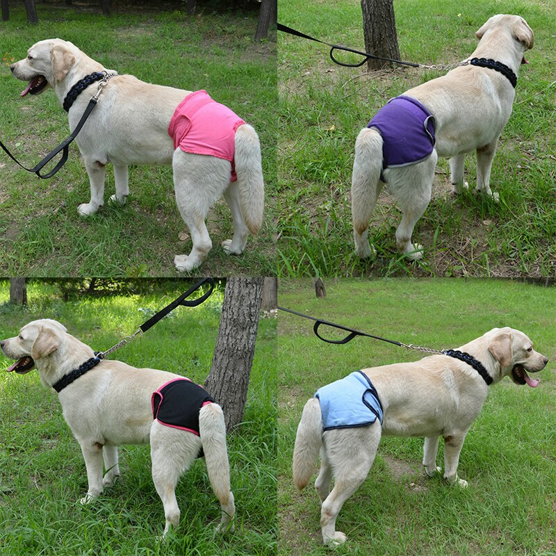 Pantalon physiologique pour chien, Anti-tracas, de couleur unie, respirant, pour animaux de compagnie