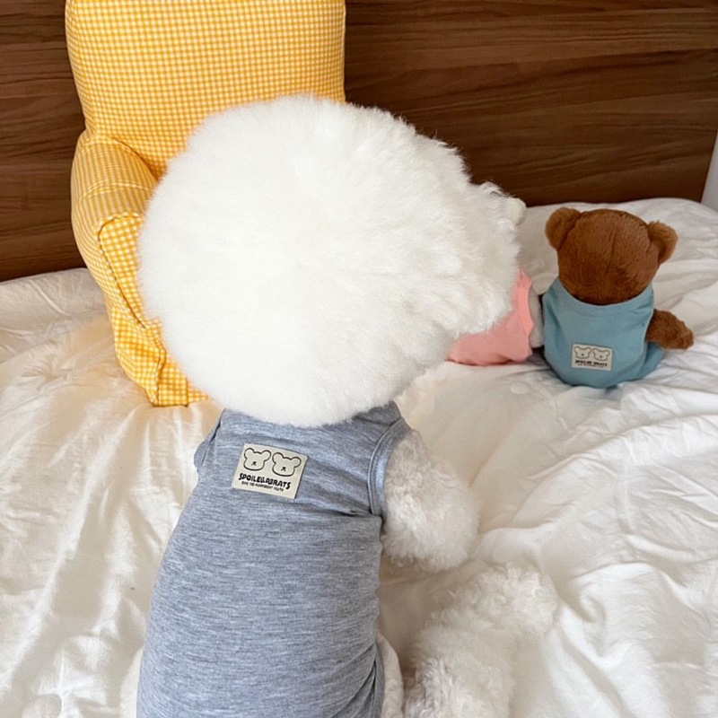 Camiseta para perros, chaleco para mascotas, ropa de primavera y verano para perros, camiseta interior para perros de oso sólido, camisas para cachorros de Chihuahua Bichon, disfraz para perros y niñas: XS / Blanco