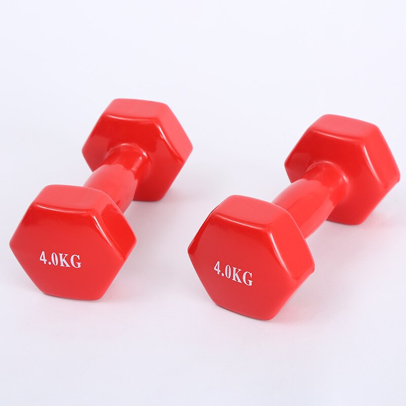 500g/Piece Dip Dumbbell Fitness Equipment Unisex Dumbbell Family Yoga Dumbbells Multi-Functional Fitness Dumbbells