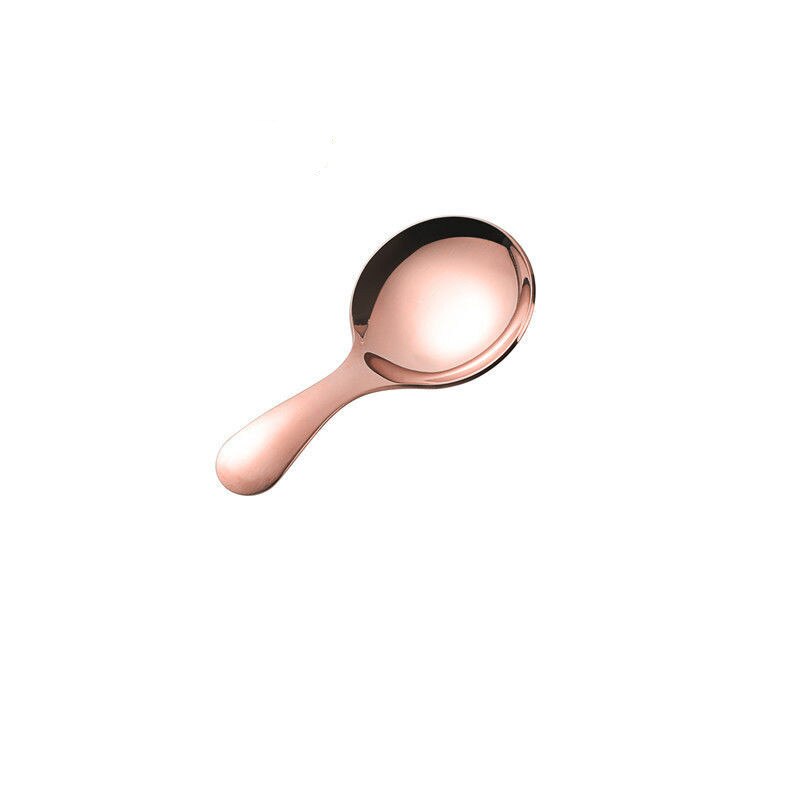Mini Spoon Short Handle Seasoning Spoon Tea Dessert Small Spoon Stainless Steel Spoon: Rose Gold