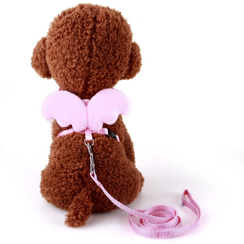Laisse pour animaux de compagnie, petit ange, sangle de poitrine, ailes, ensemble de harnais pour chien, chat, lait, petit chien, corde pour Mini chien, chiot, fournitures: Pink / M