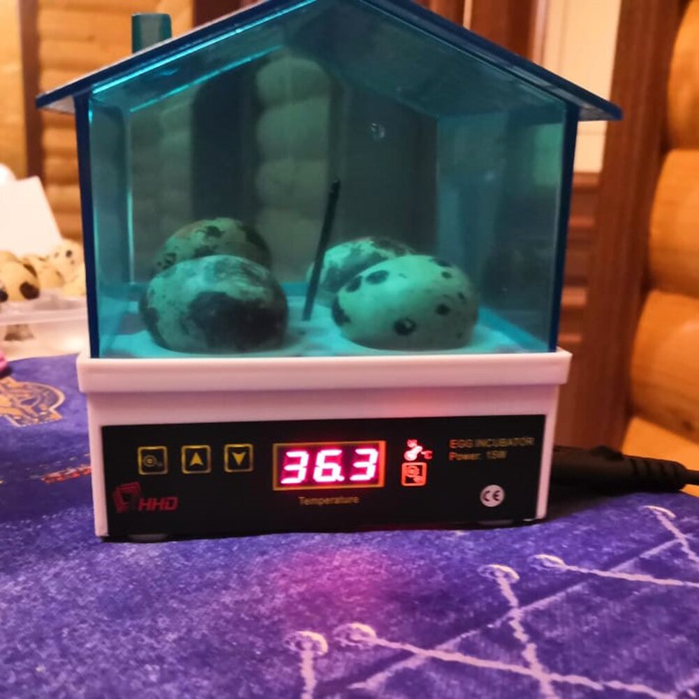 4pcs Egg Inccubator Hatchery Mini Digital Temperature Brooder Farm Brooder Quail Egg Hatcher Incubator Equipment Semi Automatic
