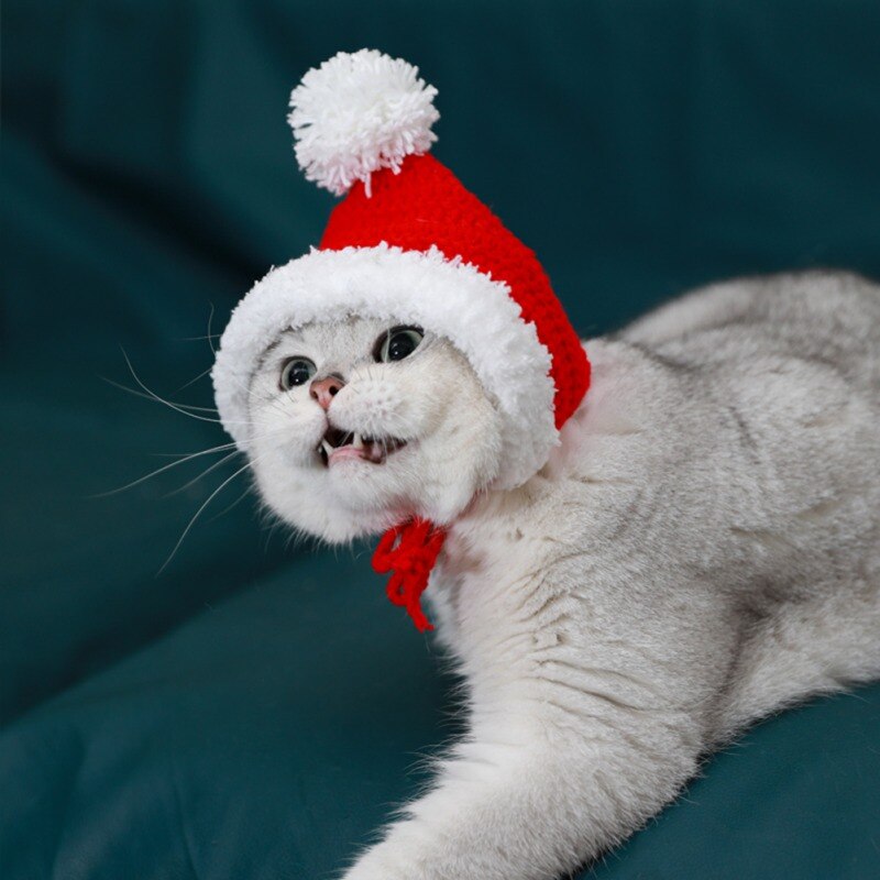 Kerst Hoed Voor Hond Kat Cap Winter Warm Pluche Gebreide Leuke Beanie Kerstmis Cap Kerst Pet