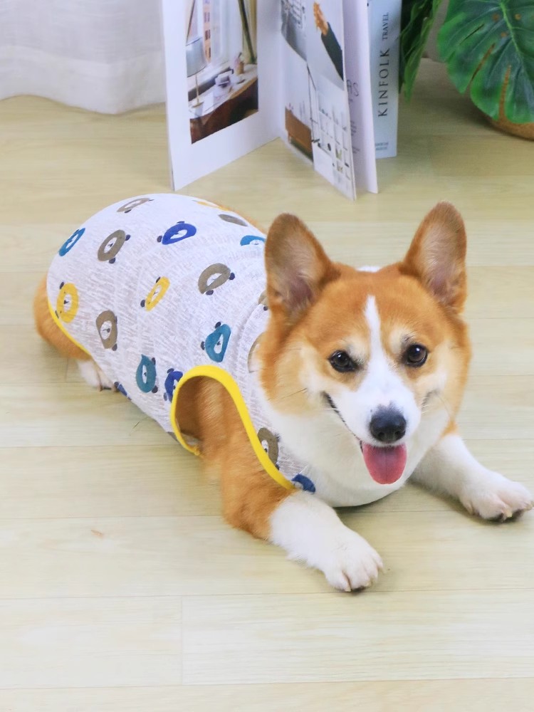 Summer Vest For Medium Large Dogs Cooling Pet Apparel Outfit French Bulldog Terrier Corgi Dachshund Clothing On Accessories