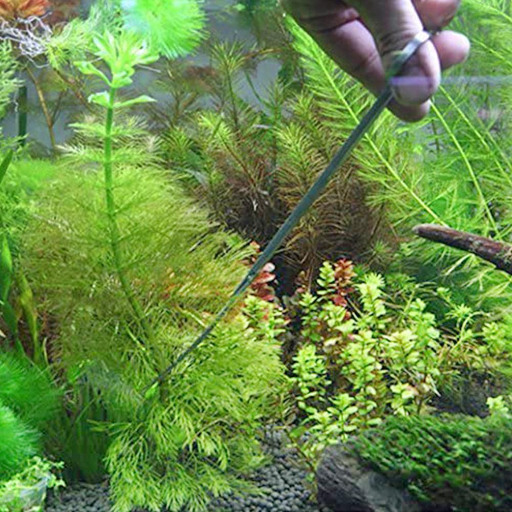 5pcs Aquarium Tank Tools Kit Aquascaping Fish Tank Aquatic Plants Long Tweezers Scissors Stainless Steel Maintenance Tool
