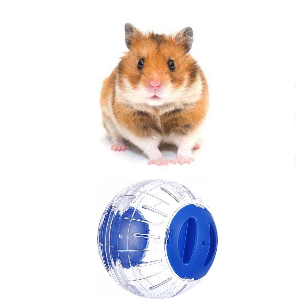 Bola de juguete especial para hámster, Bola de ejercicio con soporte transparente, bola para hámster ligera para animales pequeños