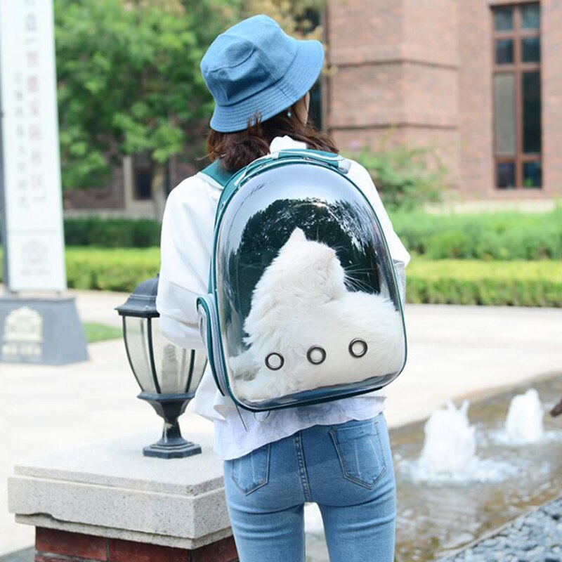 Sac à dos de transport pour chat, chiot, chihuahua, capsule transparente, respirant, voyage en plein air, grotte pour chiot