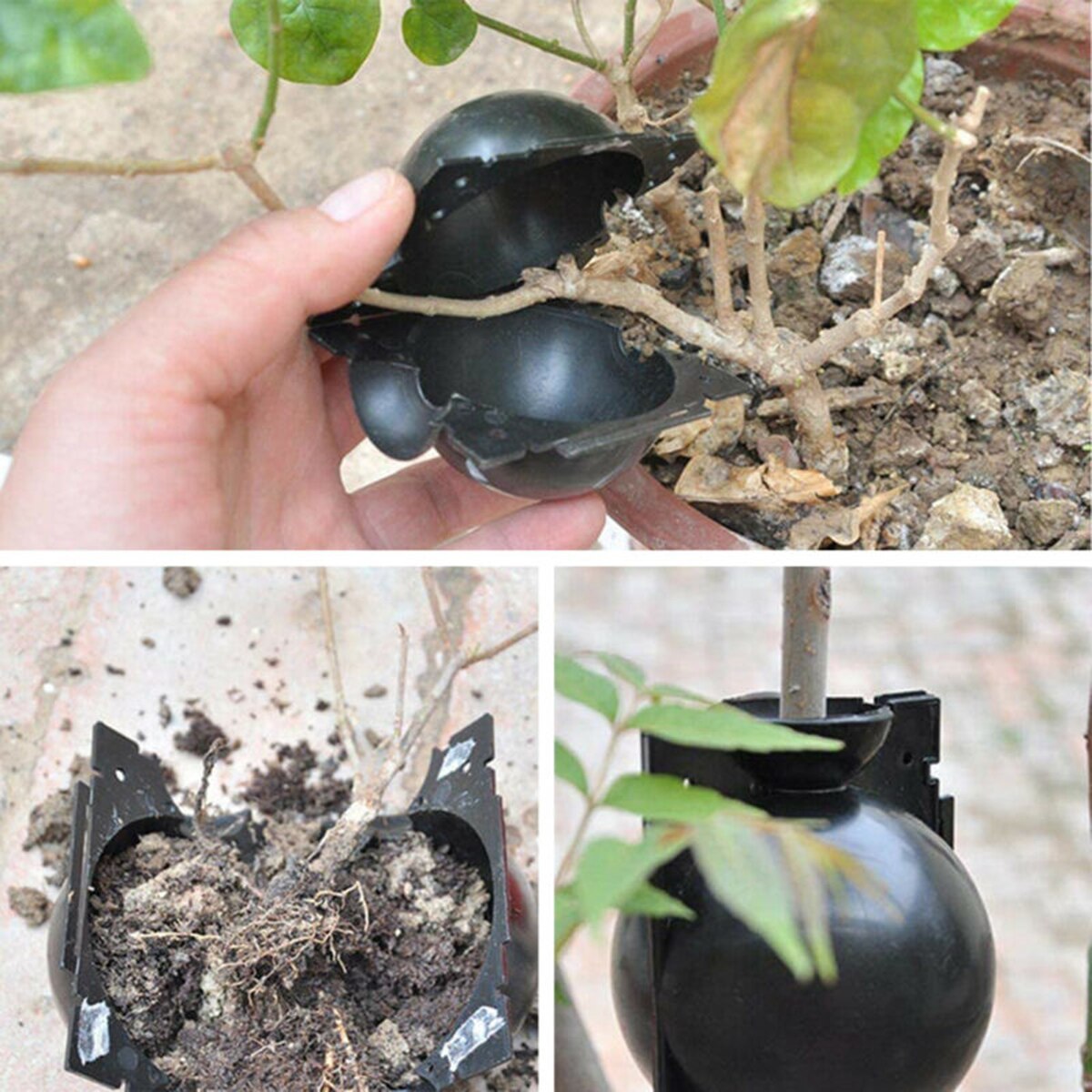 10 stk hage høyt trykk gren plante poding roting avl kule plast slitesterk og gjenbrukbar