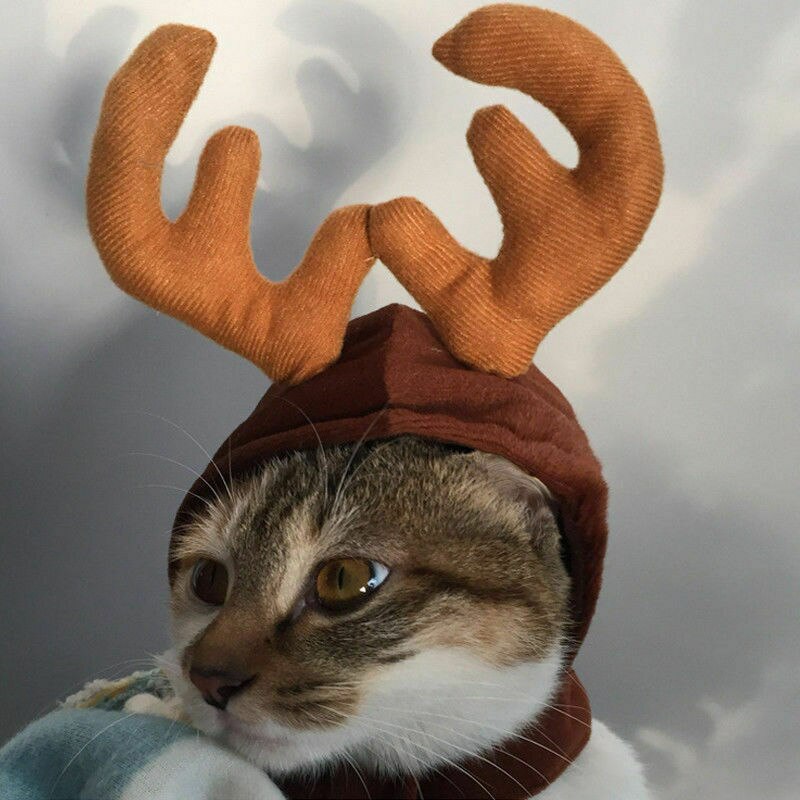 Hunde Katze Rentier Stirnband Deckel Haustier Elch Geweih Nette Hüte Welpen Hirsch Hörner Kappen Kopfschmuck Katze Weihnachten Kostüm Haar Dekor