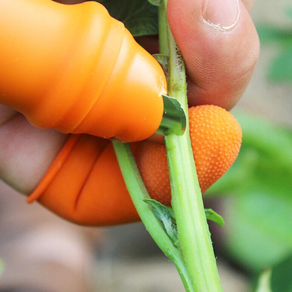 Accessori per la cucina 1pz Del silicone di Frutta – Grandado