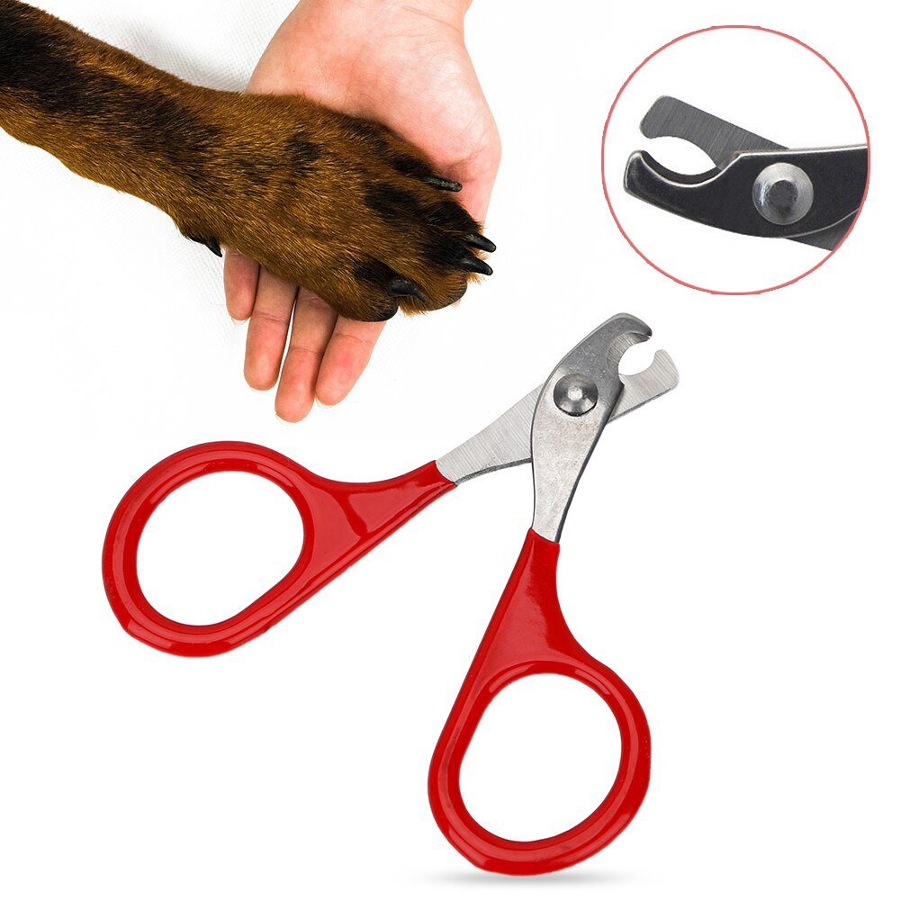 Professionele Claw Clippers Grooming Schaar Kat Cleaning Tools Hond Schaar Voor Nagels Huisdier Klauw Care Tools Huisdier Producten