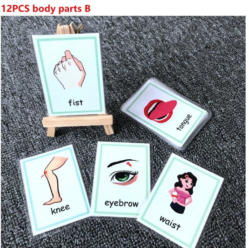 Kids Montessori Baby Learn English Word Card Flashcards Cognitive Educational Toys Picture Memorise Games For Children: 12pcs body part B